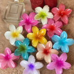 کلیپس پلومریا دخترونه ترند