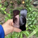 تل مخمل گره ای 6855