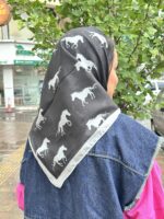 مینی هرمس7419 - Image 2