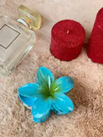 کلیپس پلومریا دخترونه ترند