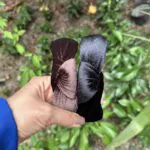 تل مخمل گره ای 6855